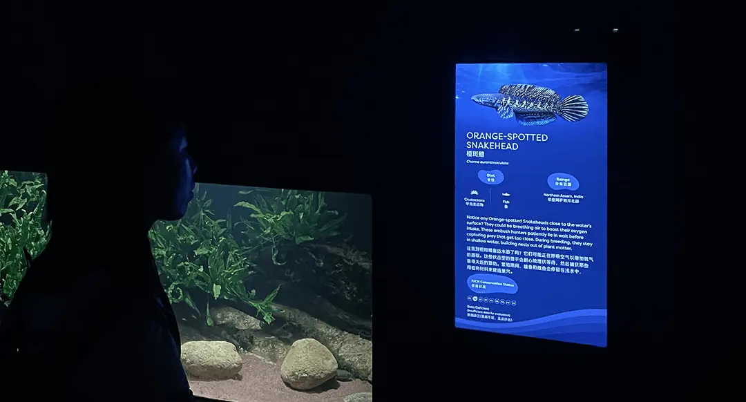 A thematic zone at the Singapore Oceanarium