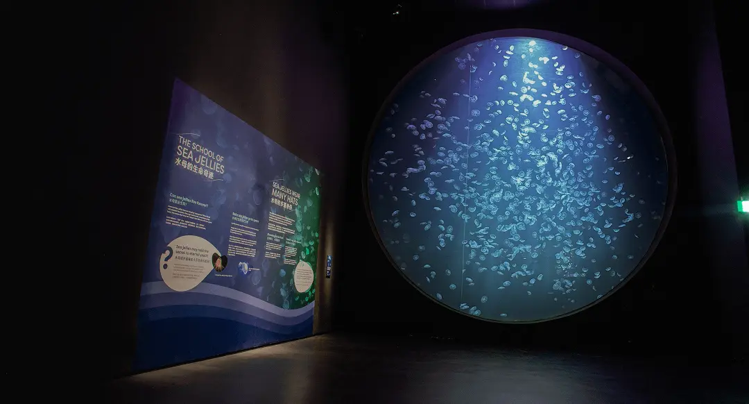A thematic zone at the Singapore Oceanarium