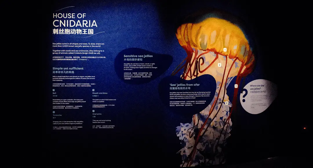 A thematic zone at the Singapore Oceanarium