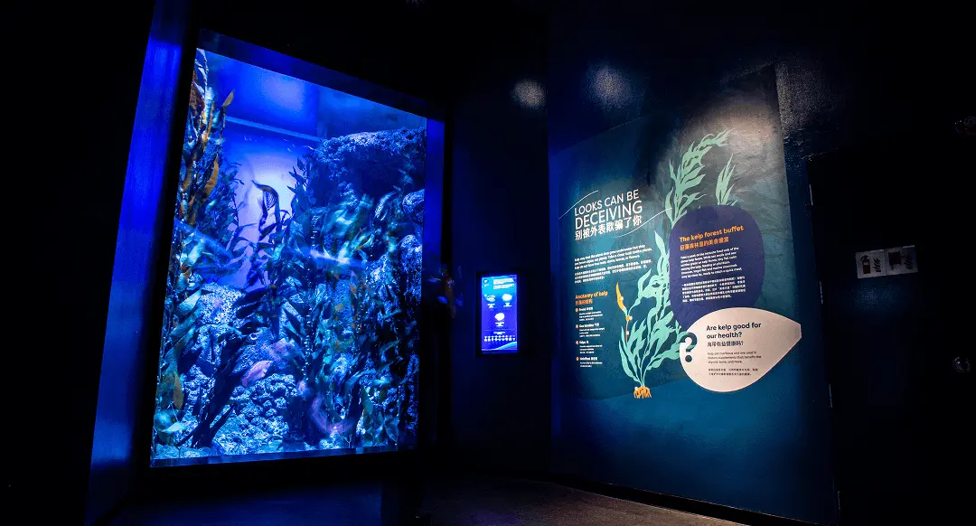 A thematic zone at the Singapore Oceanarium