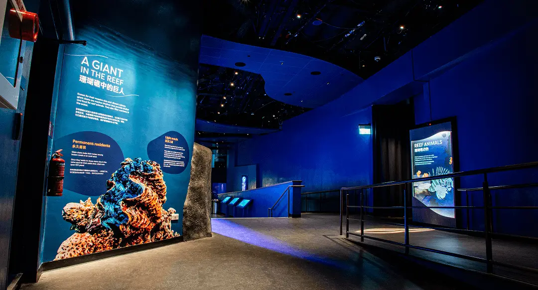 A thematic zone at the Singapore Oceanarium