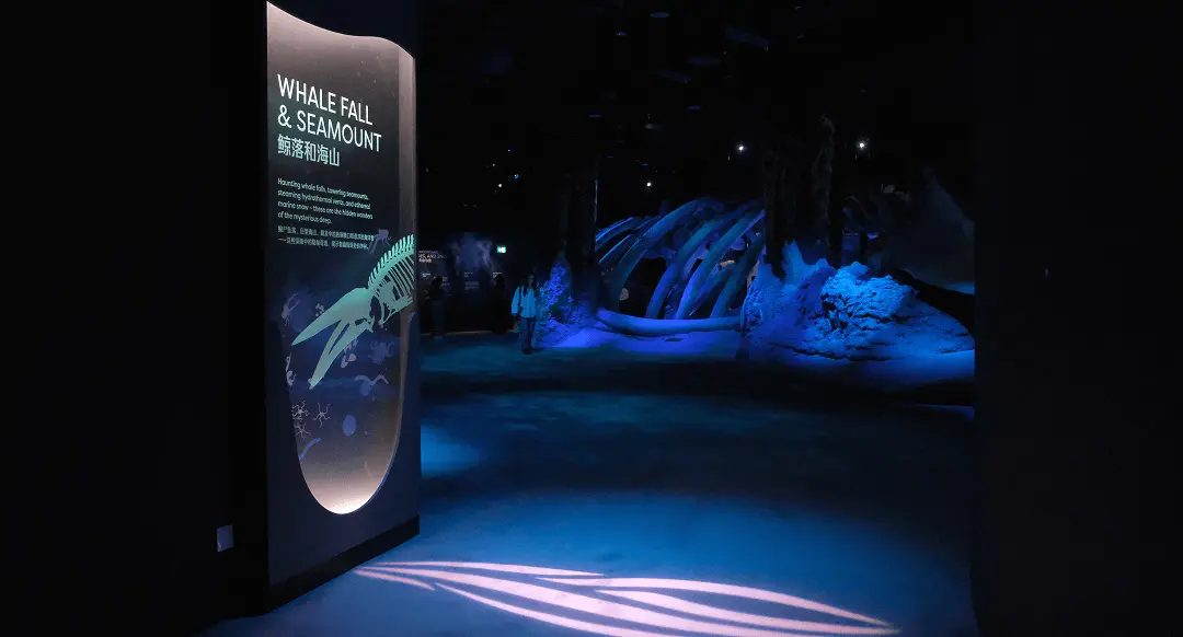 A thematic zone at the Singapore Oceanarium