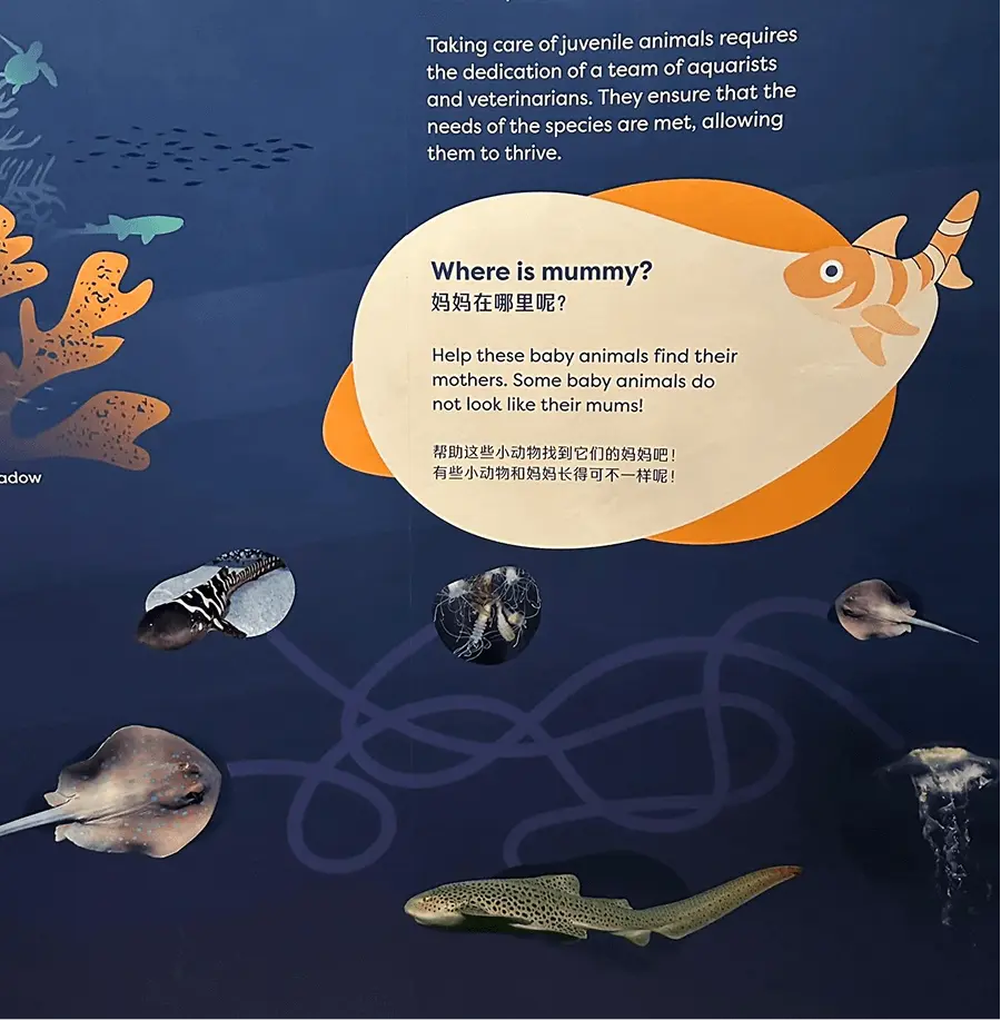 Singapore Oceanarium interpretive panel