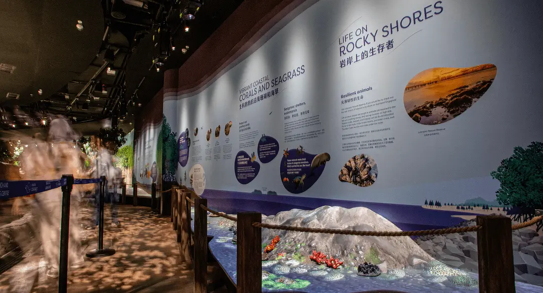 A thematic zone at the Singapore Oceanarium