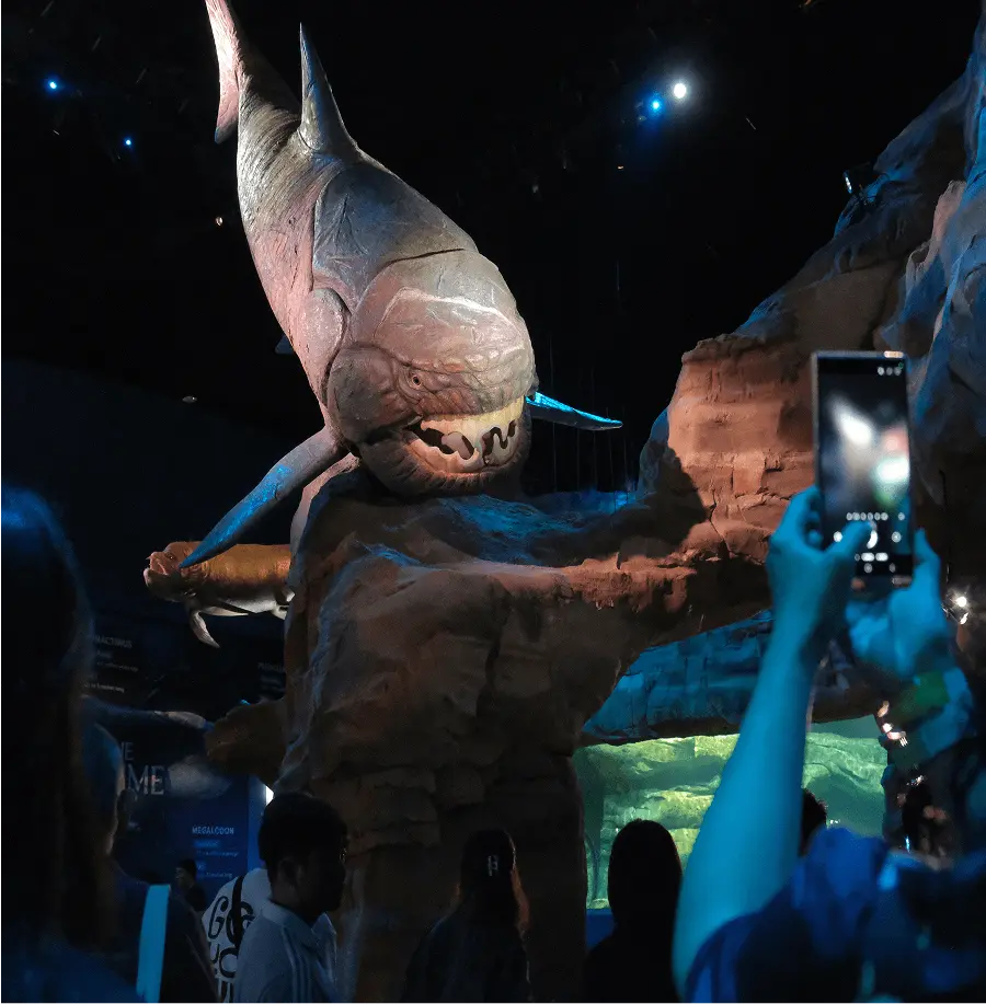 Devonian exhibit graphic at Singapore Oceanarium
