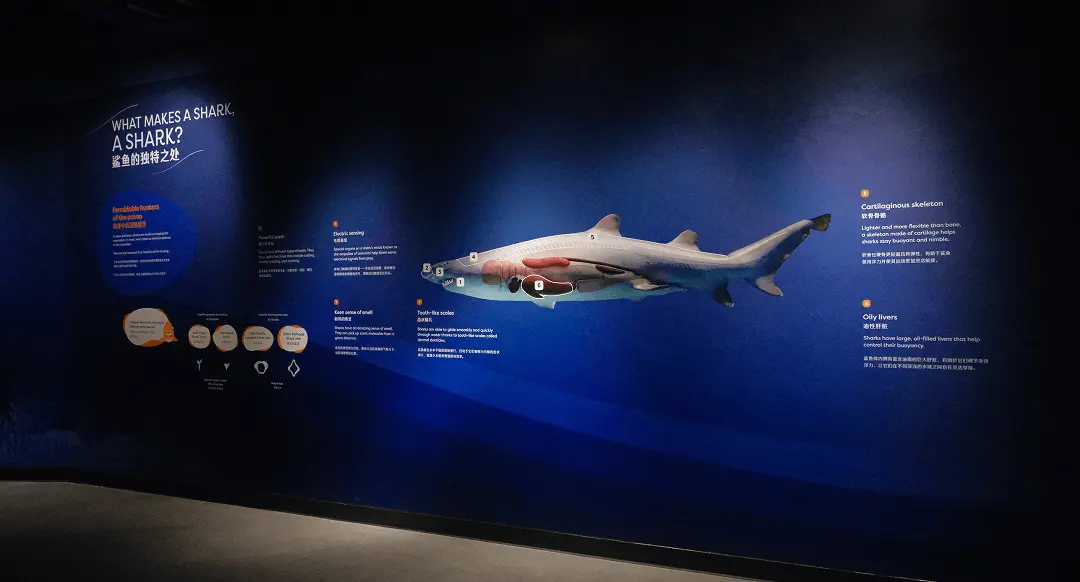 A thematic zone at the Singapore Oceanarium