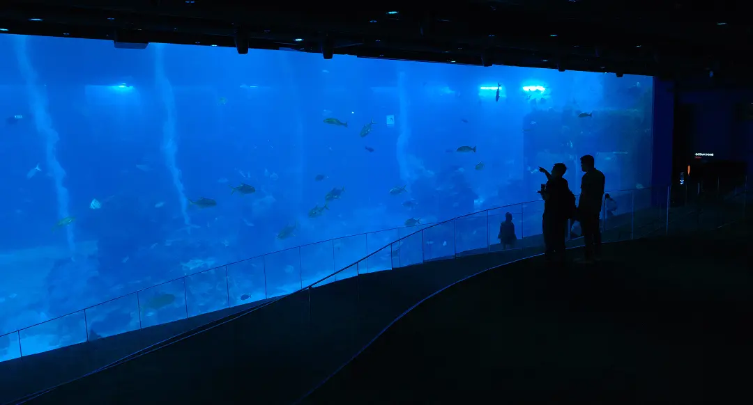 A thematic zone at the Singapore Oceanarium